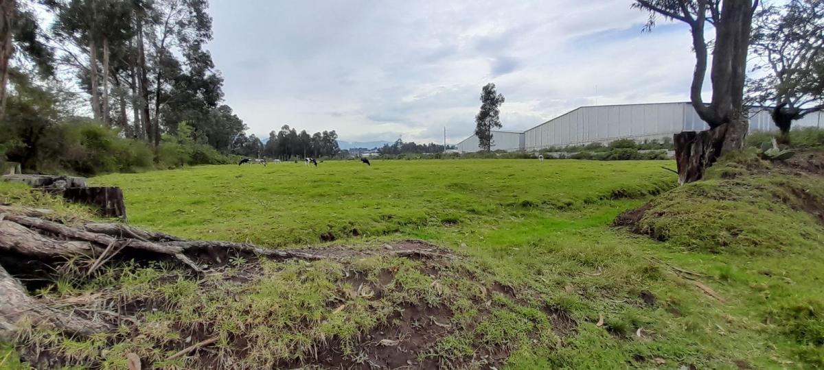 Terreno de Venta en El Valle de Los Chillos, Sector Inchalillo. 8973 m. Provincia de Pichincha — imagen 10