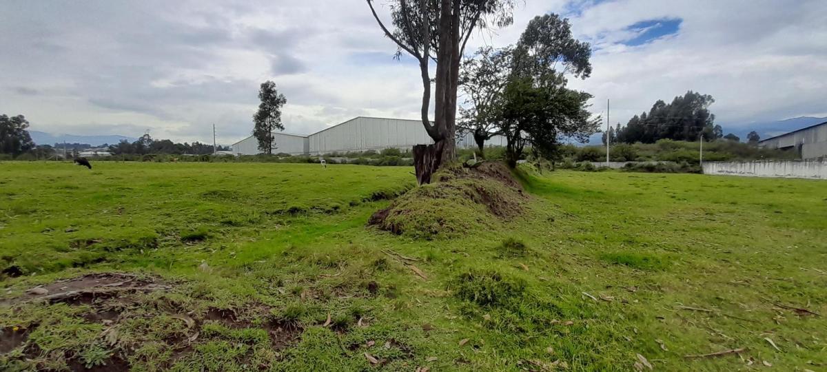 Terreno de Venta en El Valle de Los Chillos, Sector Inchalillo. 8973 m. Provincia de Pichincha — imagen 9