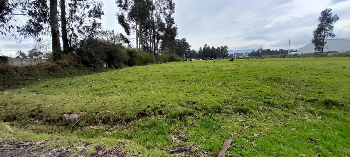 Terreno de Venta en El Valle de Los Chillos, Sector Inchalillo. 8973 m. Provincia de Pichincha — imagen 6