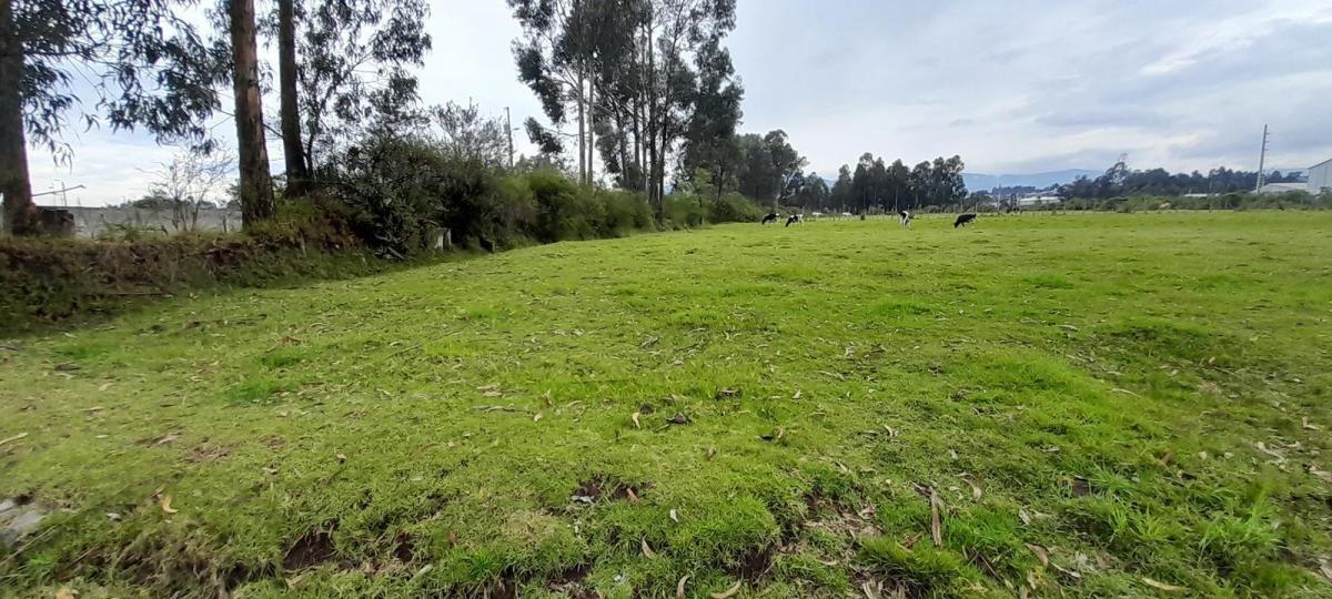 Terreno de Venta en El Valle de Los Chillos, Sector Inchalillo. 8973 m. Provincia de Pichincha — imagen 2