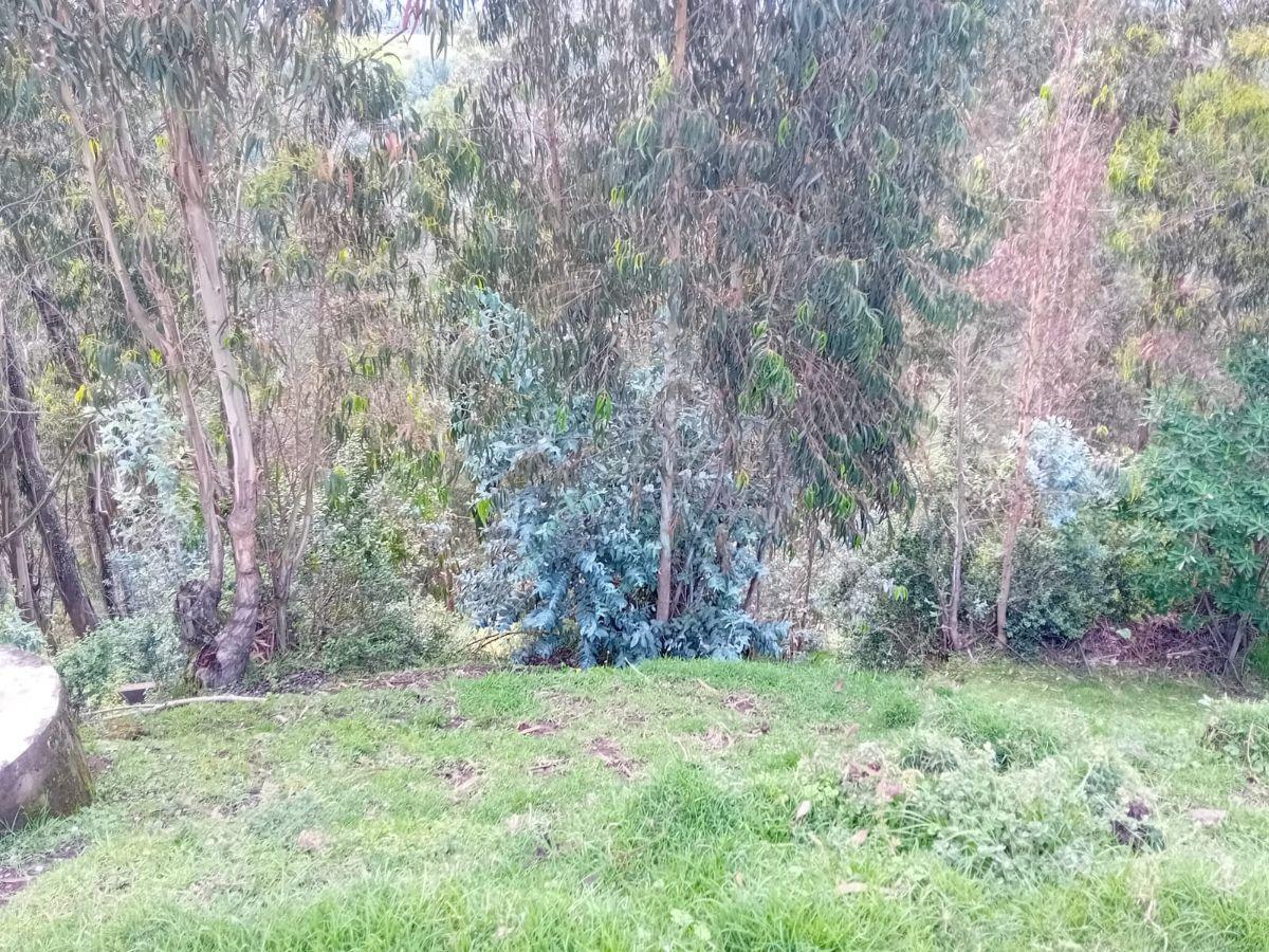 Terreno de Venta en Pintag, Sector San Alfonso — imagen 2