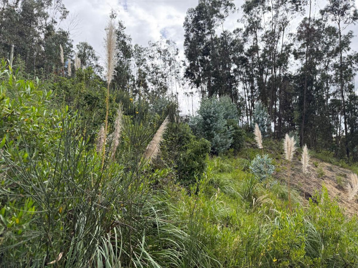 Terreno Dentro de Urbanizacion en Guangarcucho, Azuay — imagen 6