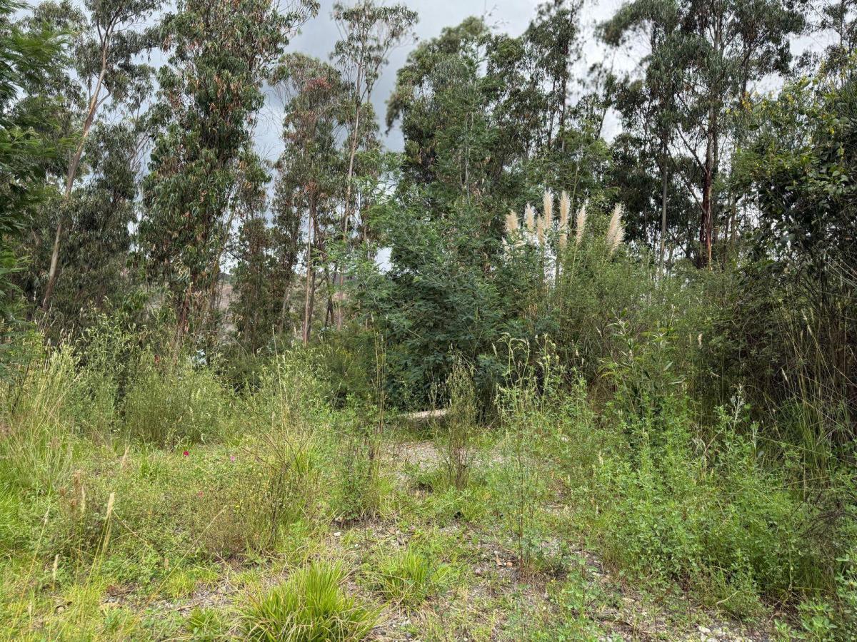 Terreno Dentro de Urbanizacion en Guangarcucho, Azuay — imagen 2
