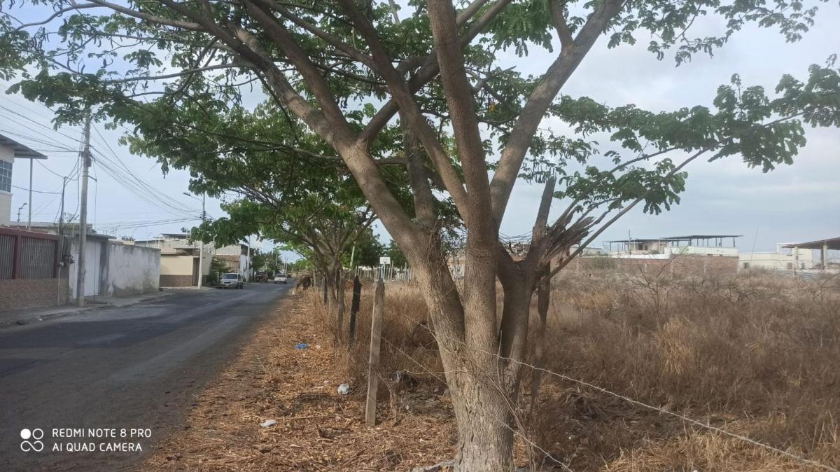 Terreno en Venta Las Orquideas Manta Zona Norte, Manabí — imagen 7