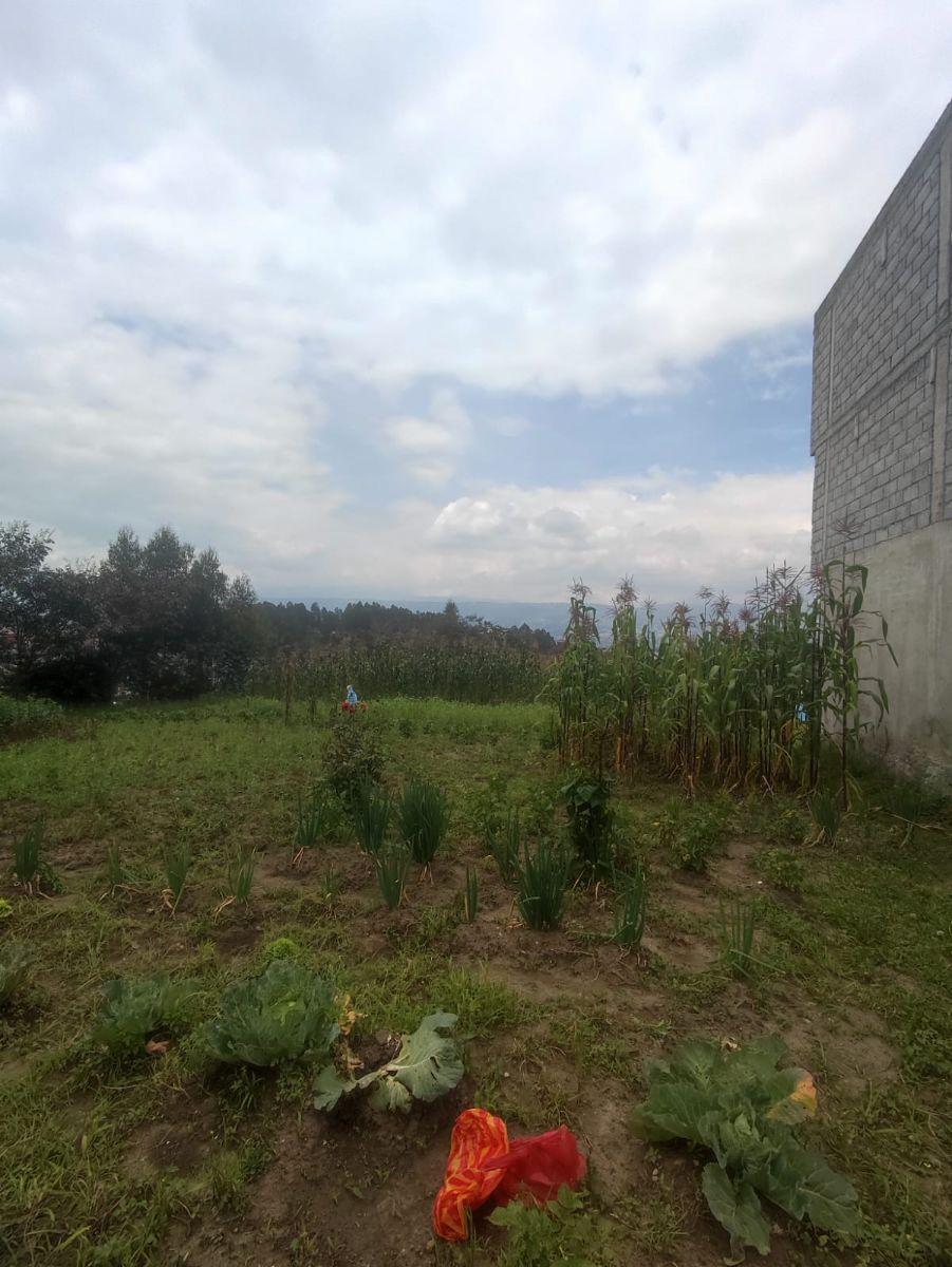 Venta Terreno Alangasi – Valle de Los Chillos, Terreno Plano — imagen 6
