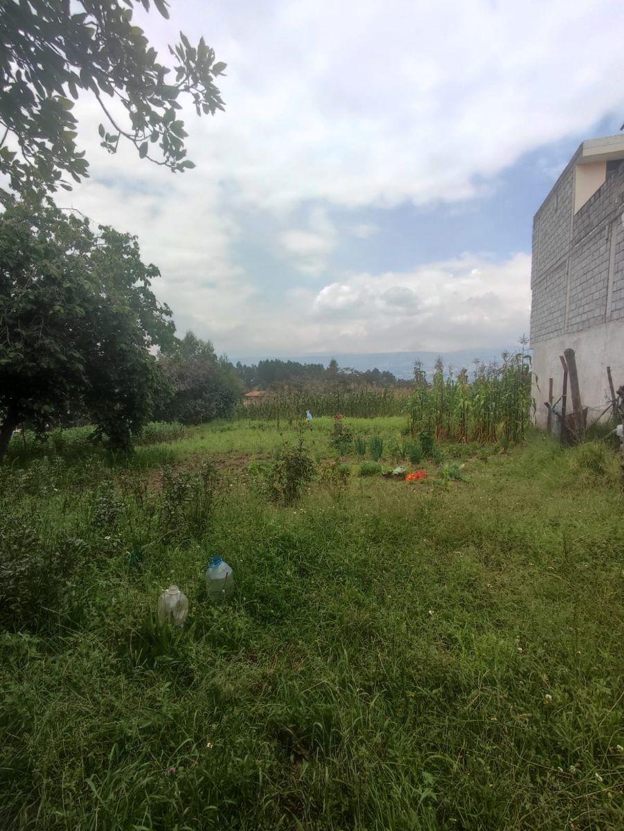 Venta Terreno Alangasi – Valle de Los Chillos, Terreno Plano — imagen 5