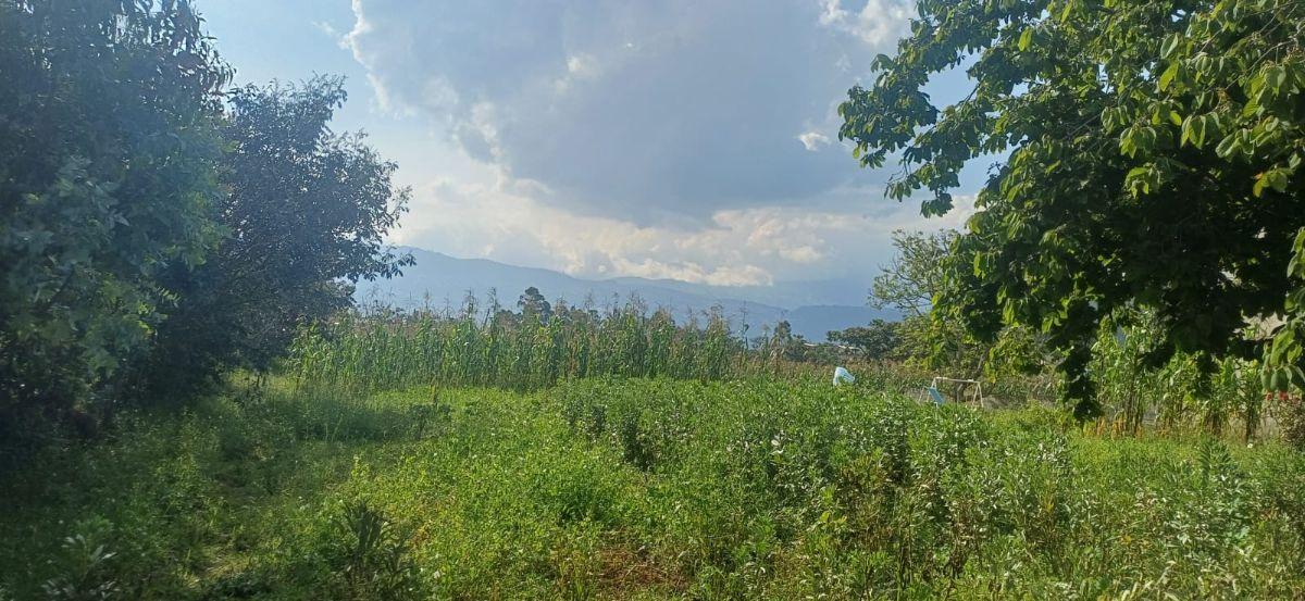 Venta Terreno Alangasi – Valle de Los Chillos, Terreno Plano — imagen 2