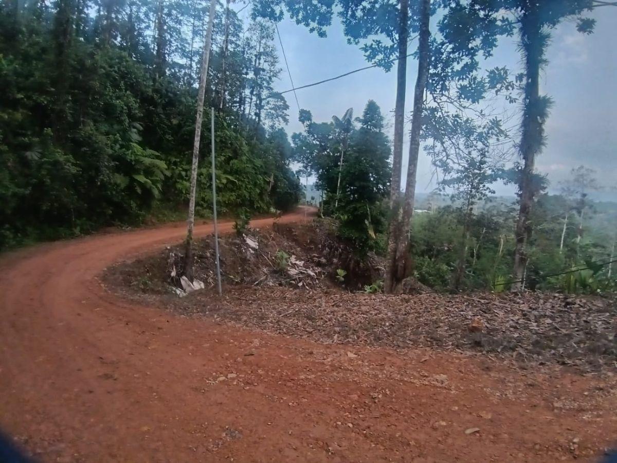 Se Vende Hermosa Finca de Una Hectaria en Puerto Quito con Casa de 108 m² — imagen 10