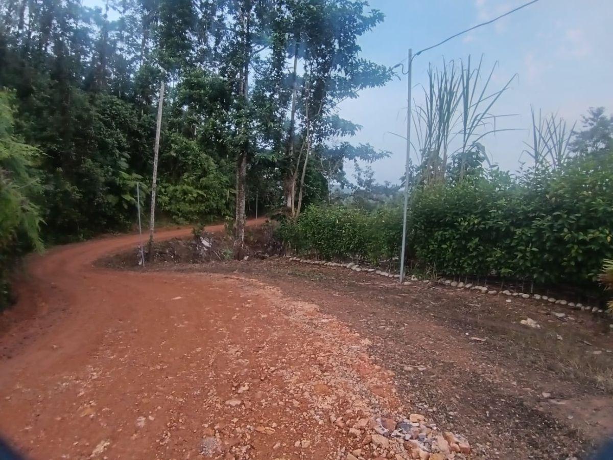 Se Vende Hermosa Finca de Una Hectaria en Puerto Quito con Casa de 108 m² — imagen 9