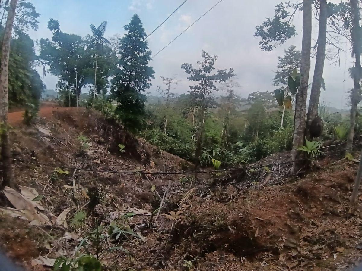 Se Vende Hermosa Finca de Una Hectaria en Puerto Quito con Casa de 108 m² — imagen 7