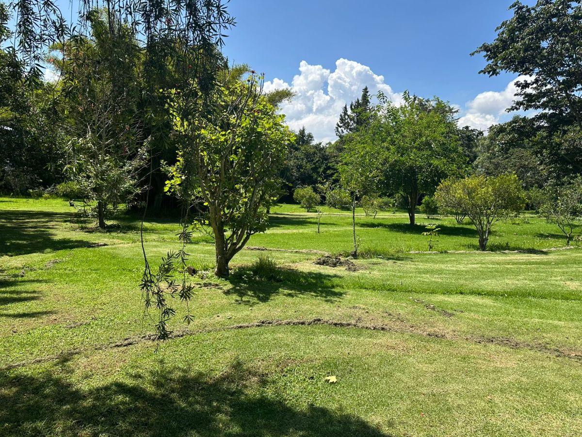 Terreno de Venta en Puembo — imagen 8