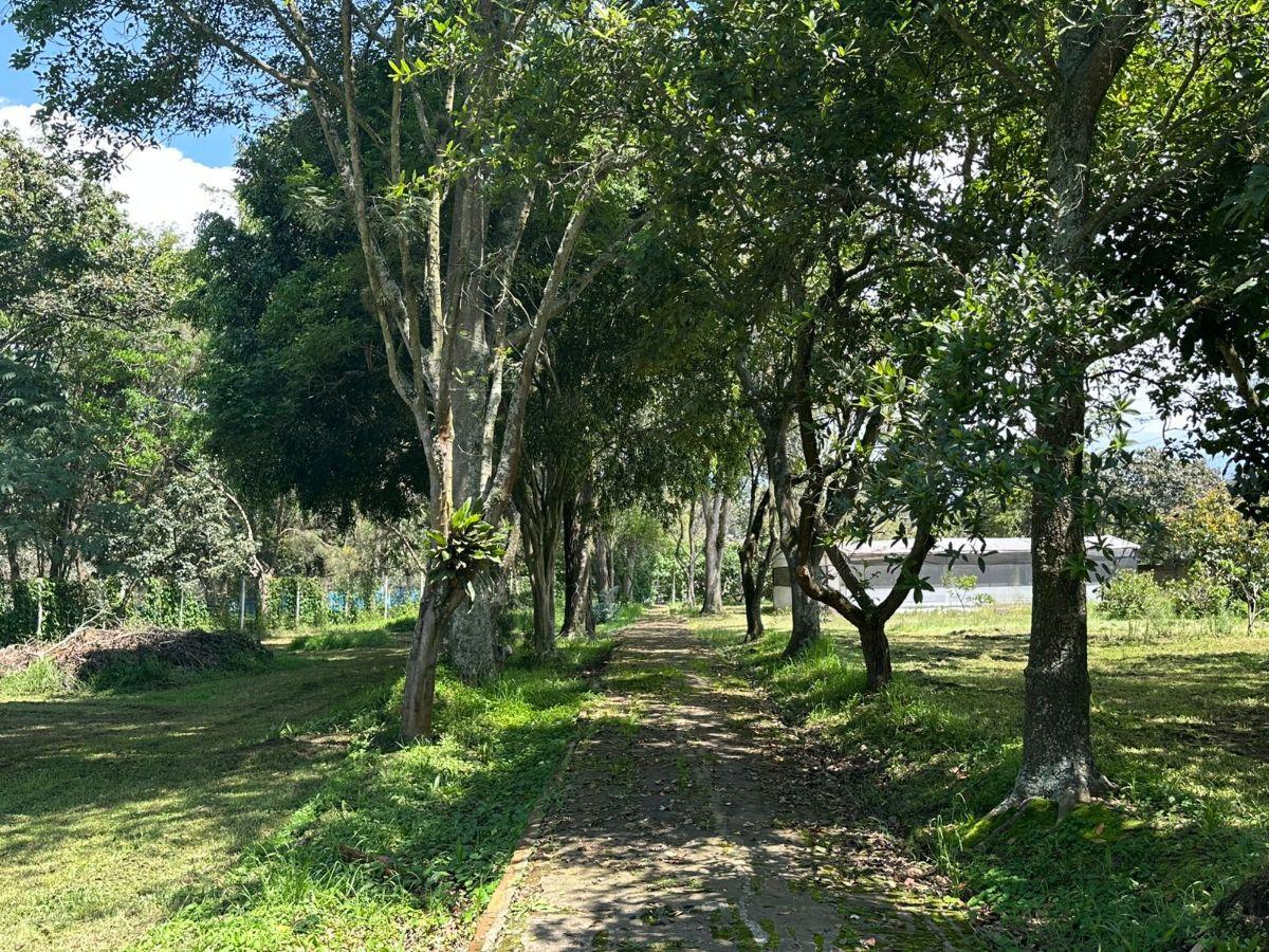 Terreno de Venta en Puembo — imagen 6