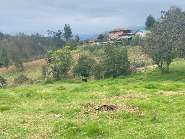 Terreno en Venta 2.700 m² a 5 Minutos de Challuabamba - Panamericana Norte Cuenca, Azuay — imagen 10