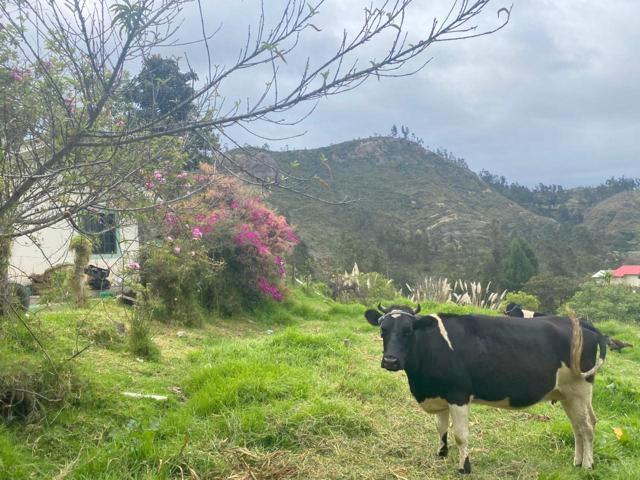 Terreno en Venta 2.700 m² a 5 Minutos de Challuabamba - Panamericana Norte Cuenca, Azuay — imagen 9