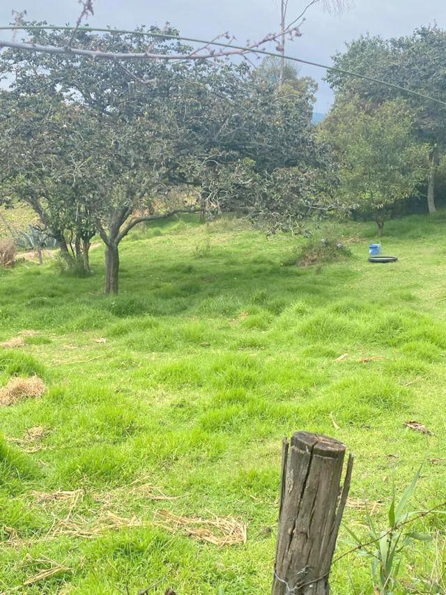 Terreno en Venta 2.700 m² a 5 Minutos de Challuabamba - Panamericana Norte Cuenca, Azuay — imagen 6
