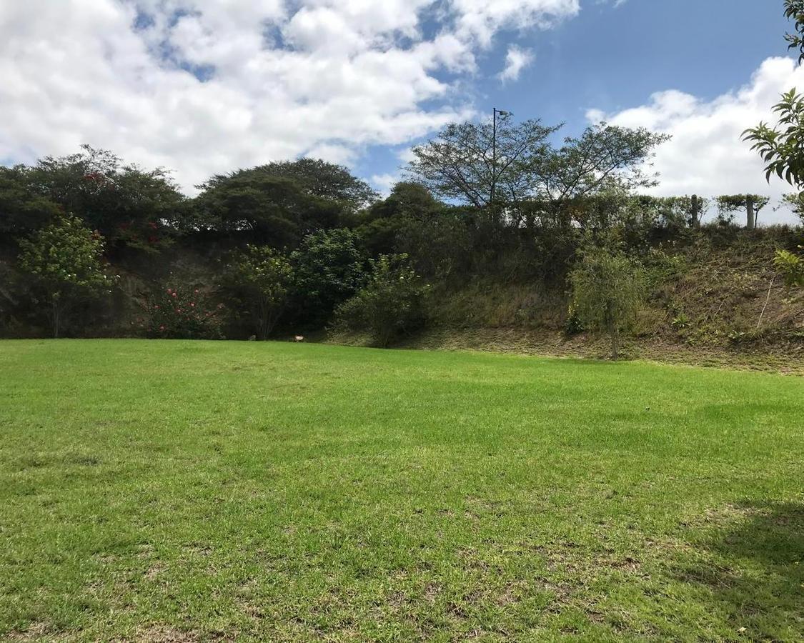 Terreno Esquinero en Venta 1065 m² - Dentro de Urbanización - Sector Cumbayá. Provincia de Pichincha — imagen 10