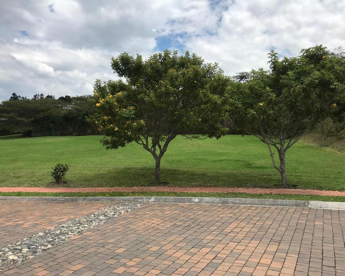 Terreno Esquinero en Venta 1065 m² - Dentro de Urbanización - Sector Cumbayá. Provincia de Pichincha — imagen 9