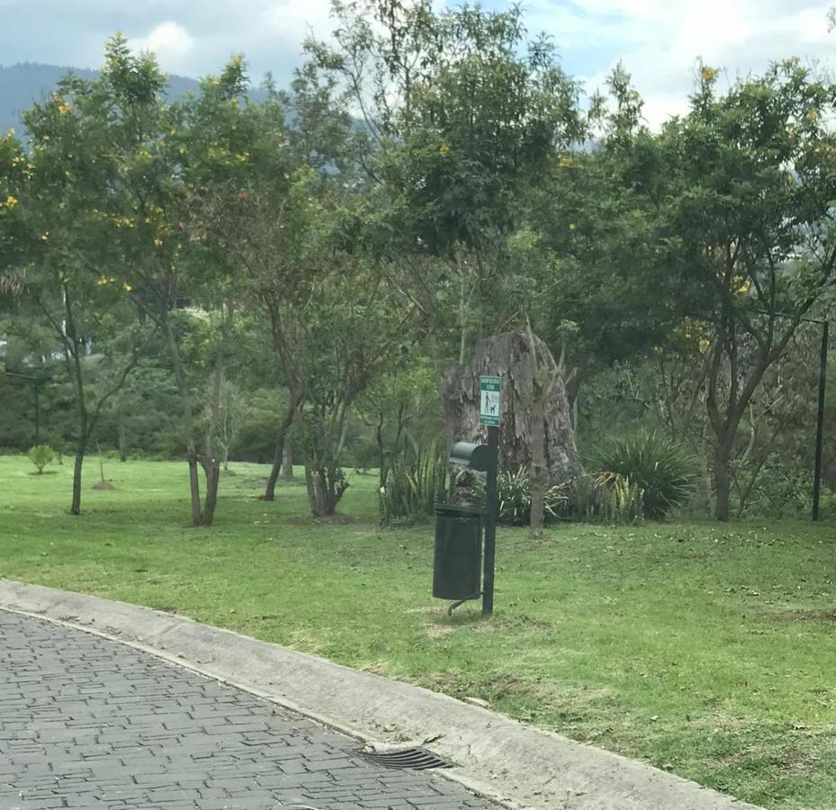 Terreno Esquinero en Venta 1065 m² - Dentro de Urbanización - Sector Cumbayá. Provincia de Pichincha — imagen 6