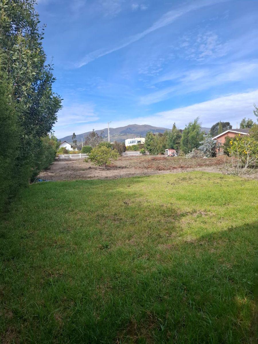 Vendo Terreno con Casa en Conjunto Privado - Malchingui a 10 Minutos del Parque Jerusalem — imagen 10