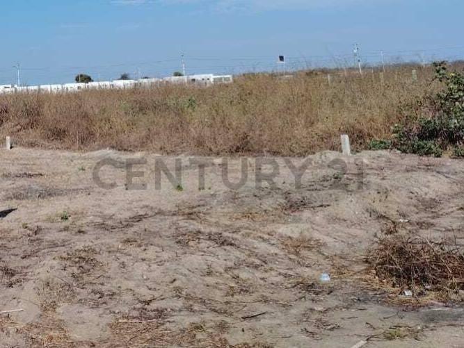 Oportunidad de Inversión, Manabí — imagen 6