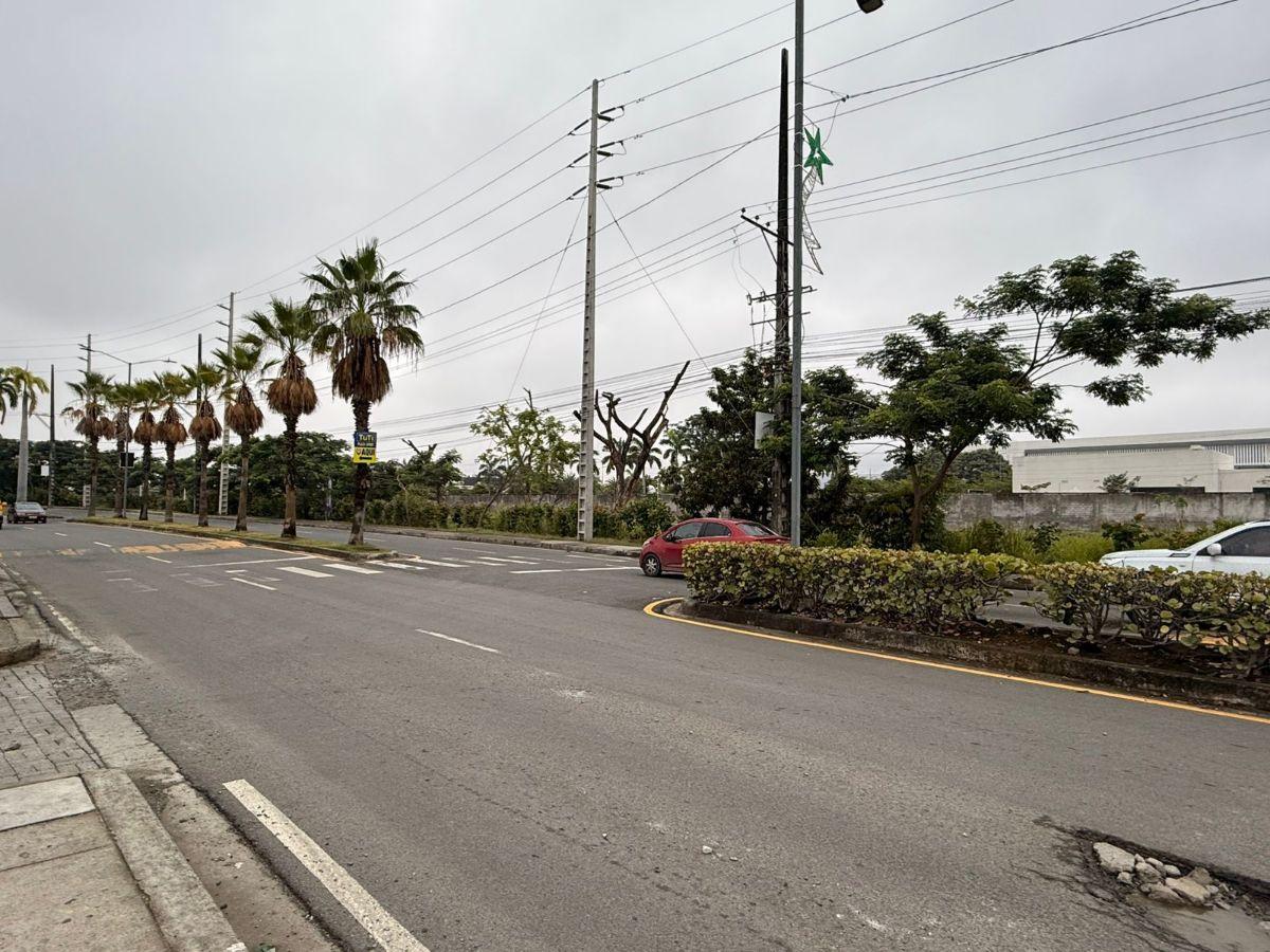 Terreno Comercial en Venta 1567 m² - Casa Laguna - Av Febres Cordero Km 12.5 - Daule, Guayas — imagen 3