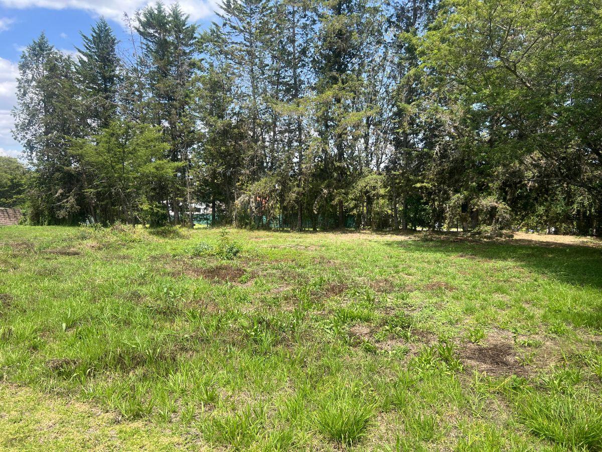 Venta Preciodo Terreno Arrayanes (Puembo) — imagen 10