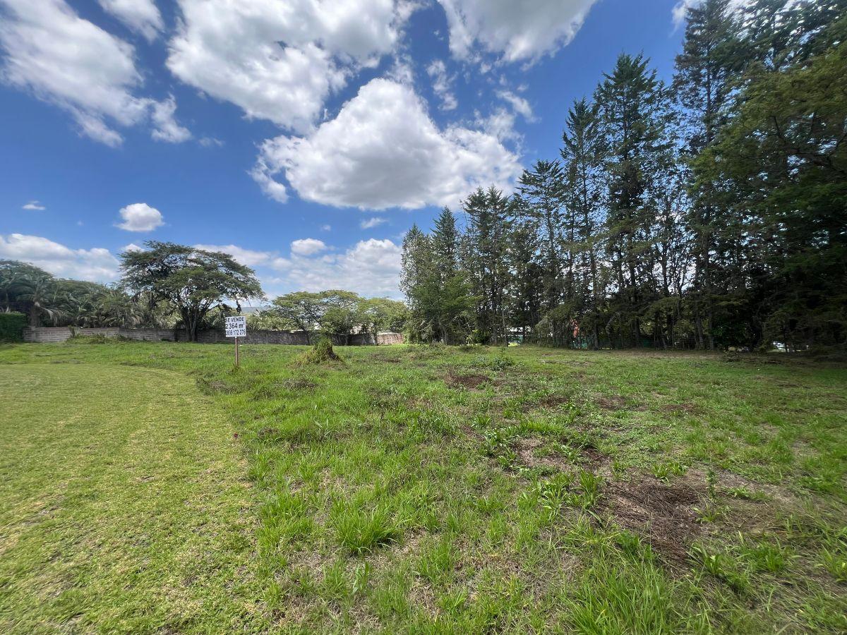 Venta Preciodo Terreno Arrayanes (Puembo) — imagen 9