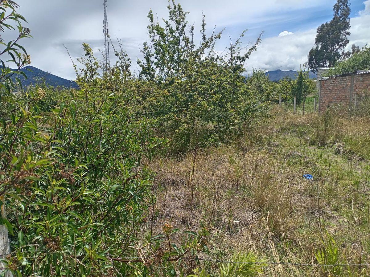 Terreno en Venta 1497,75 m Montalvo - Ambato, Tungurahua — imagen 10