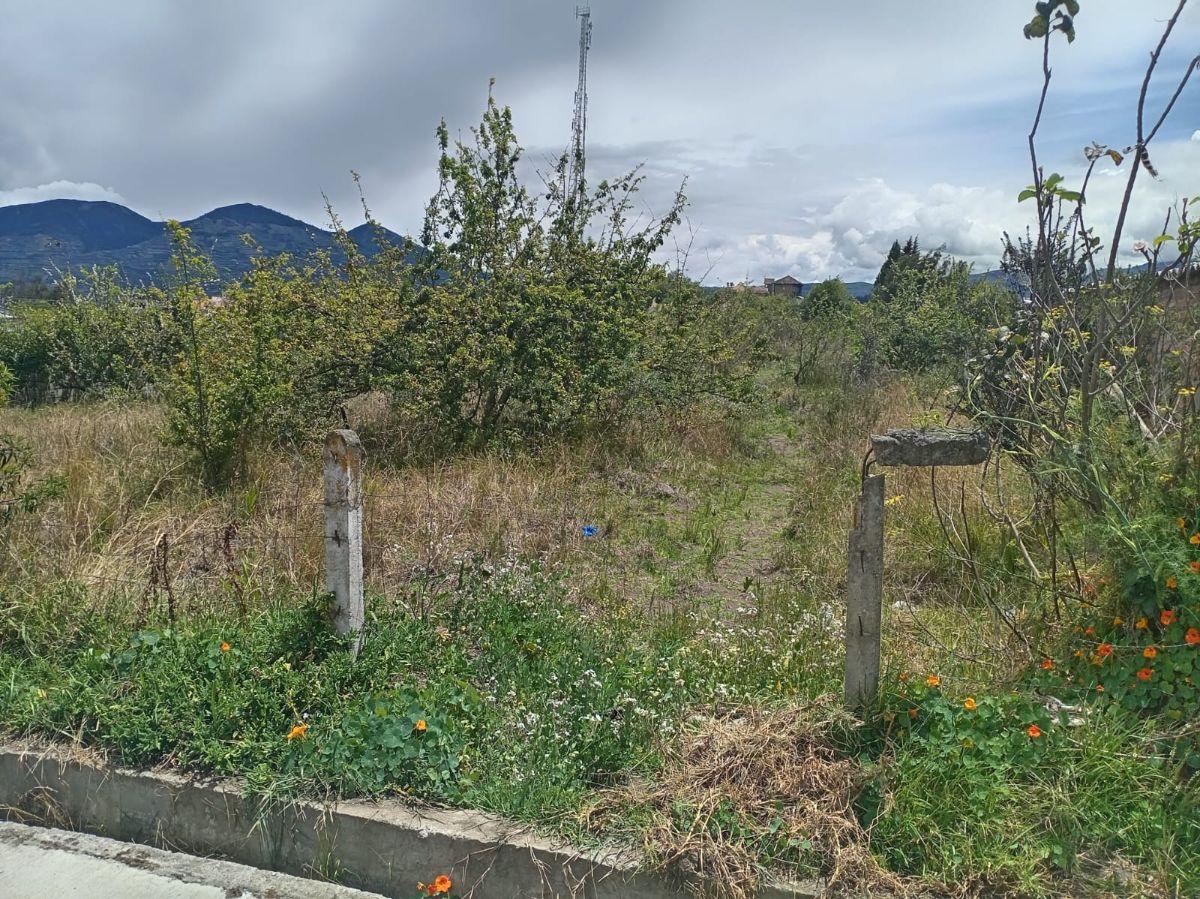 Terreno en Venta 1497,75 m Montalvo - Ambato, Tungurahua — imagen 8