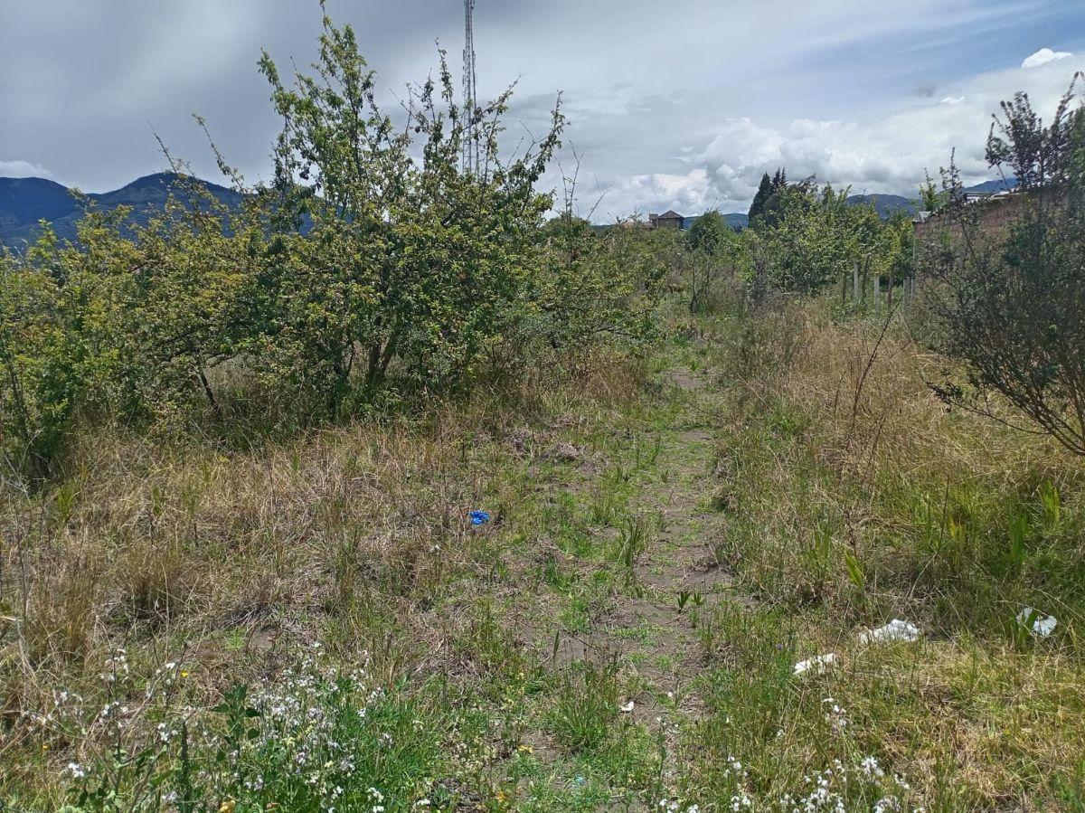 Terreno en Venta 1497,75 m Montalvo - Ambato, Tungurahua — imagen 7