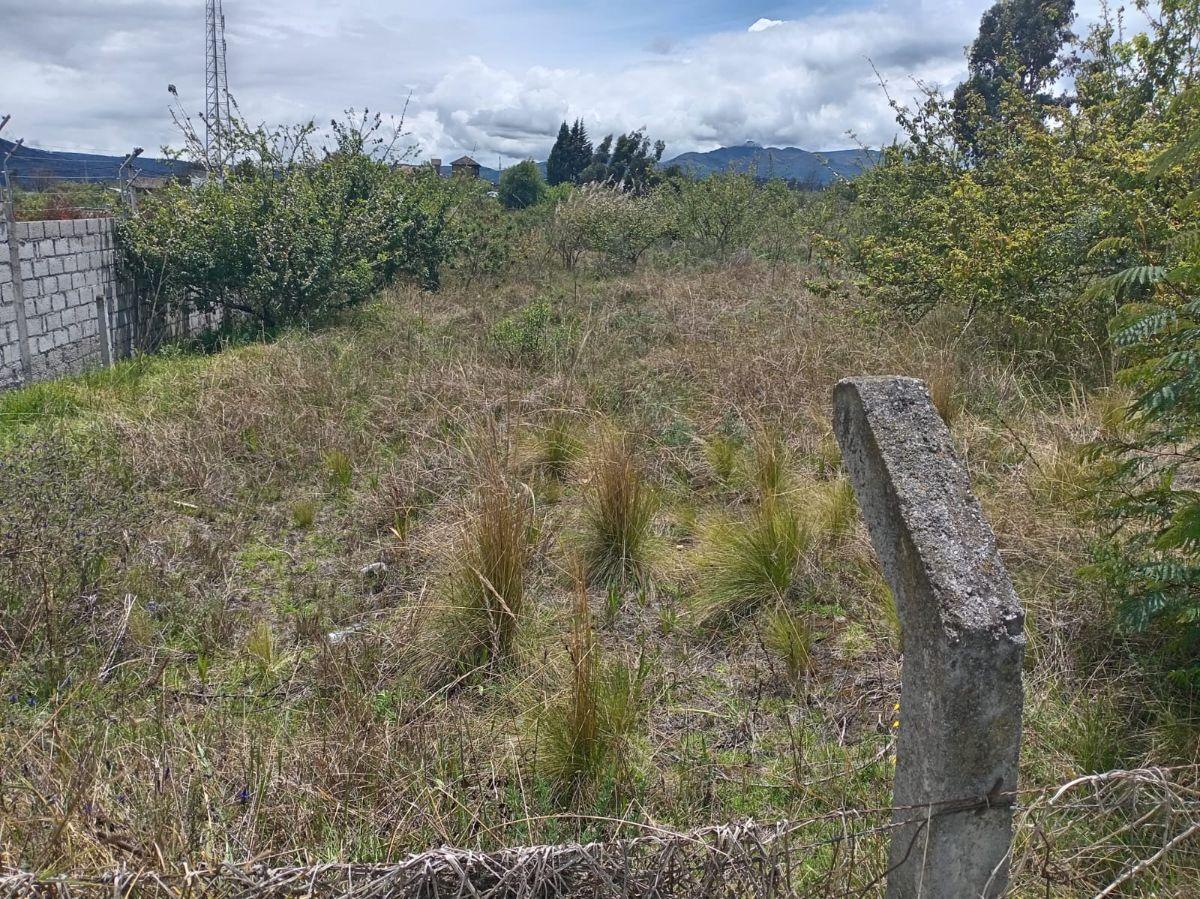 Terreno en Venta 1497,75 m Montalvo - Ambato, Tungurahua — imagen 5