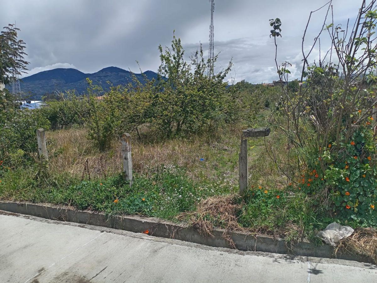 Terreno en Venta 1497,75 m Montalvo - Ambato, Tungurahua — imagen 2