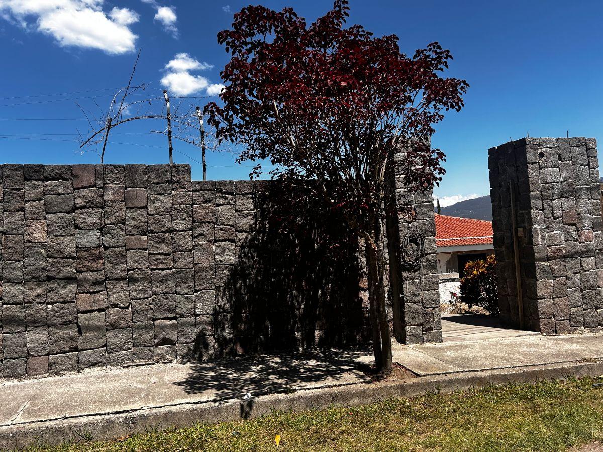 Vendo Terrenos en Tumbaco 410 m². Dentro de Urbanización Muy Buena y con Preciosa Vista — imagen 8