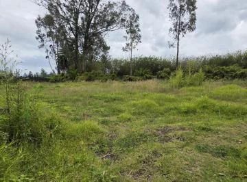 Terreno en Renta de 2.500 m² – Puembo, Barrio San José – Usd 500 Mensuales — imagen 5