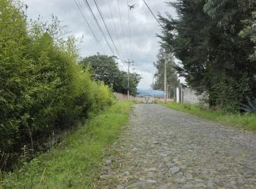 Terreno en Renta de 2.500 m² – Puembo, Barrio San José – Usd 500 Mensuales — imagen 2