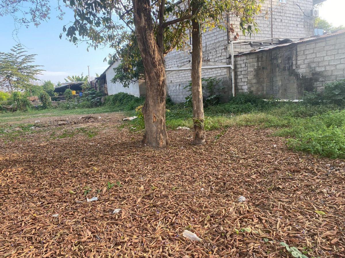 Dos Terreno en Zona Comercial en Sociedad Civil Vergeles, Guayas — imagen 7