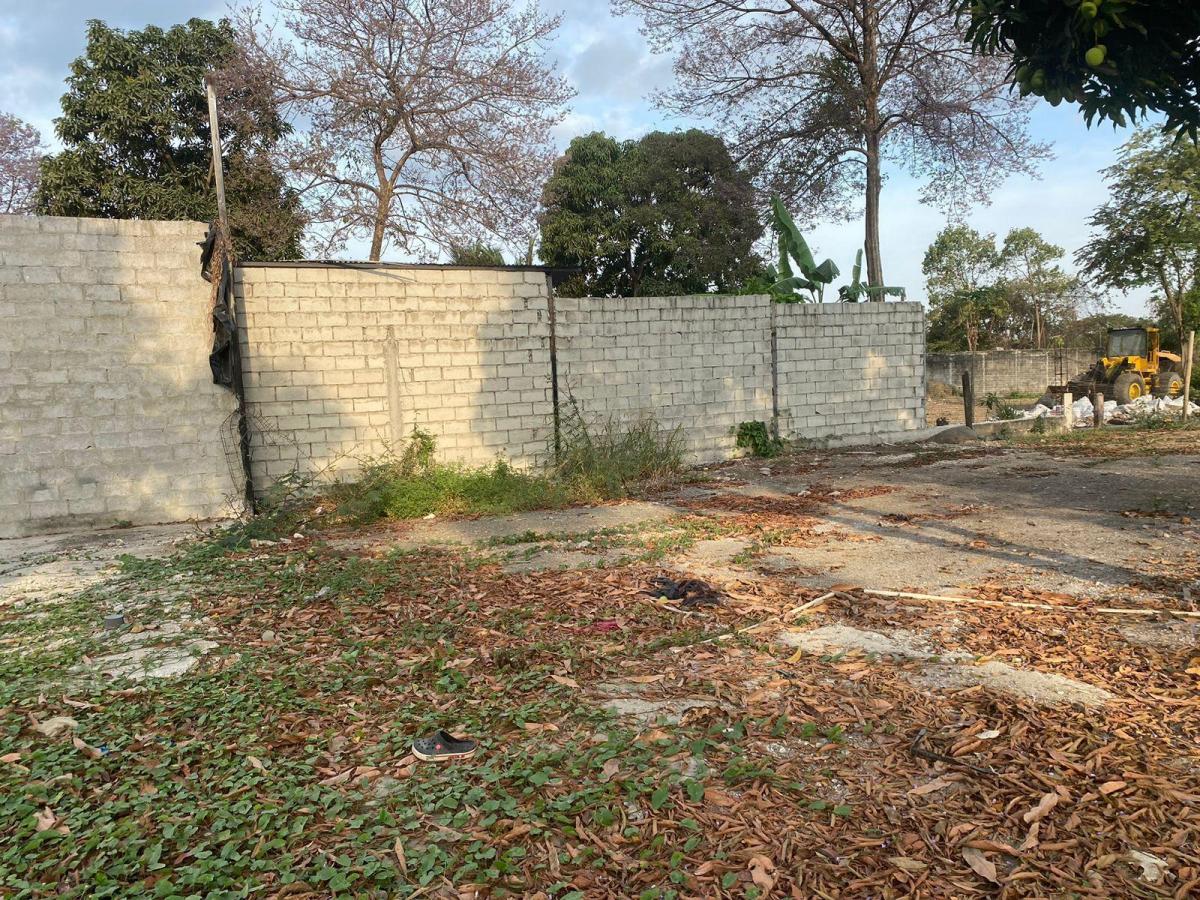 Dos Terreno en Zona Comercial en Sociedad Civil Vergeles, Guayas — imagen 6