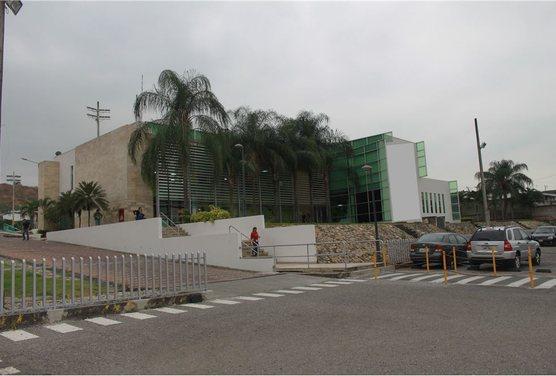 En Venta Terreno 6.5 Hectáreas, Vía a Daule - J. Zavala, Guayas — imagen 6