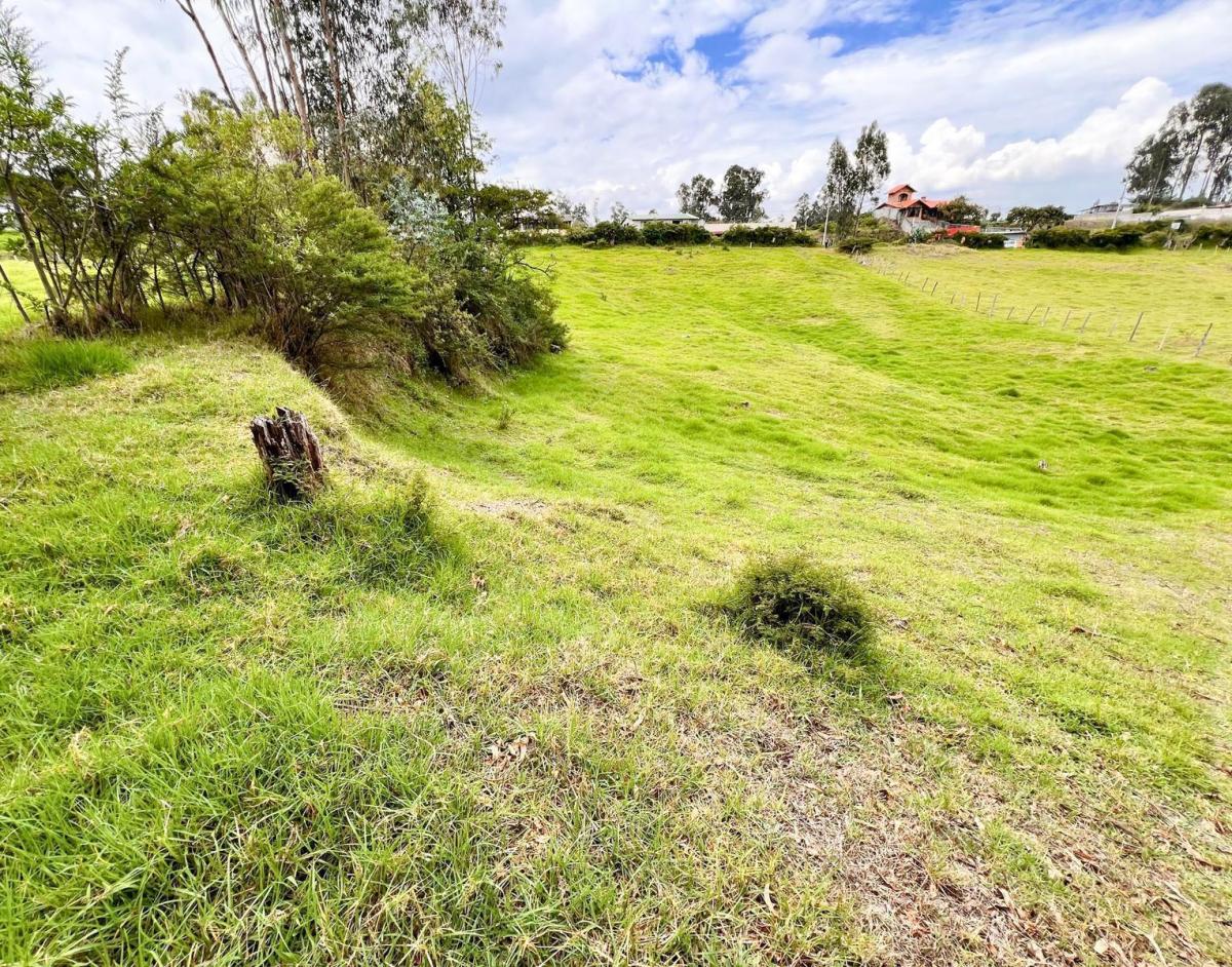 Venta de Terreno - Sector Pintag — imagen 9