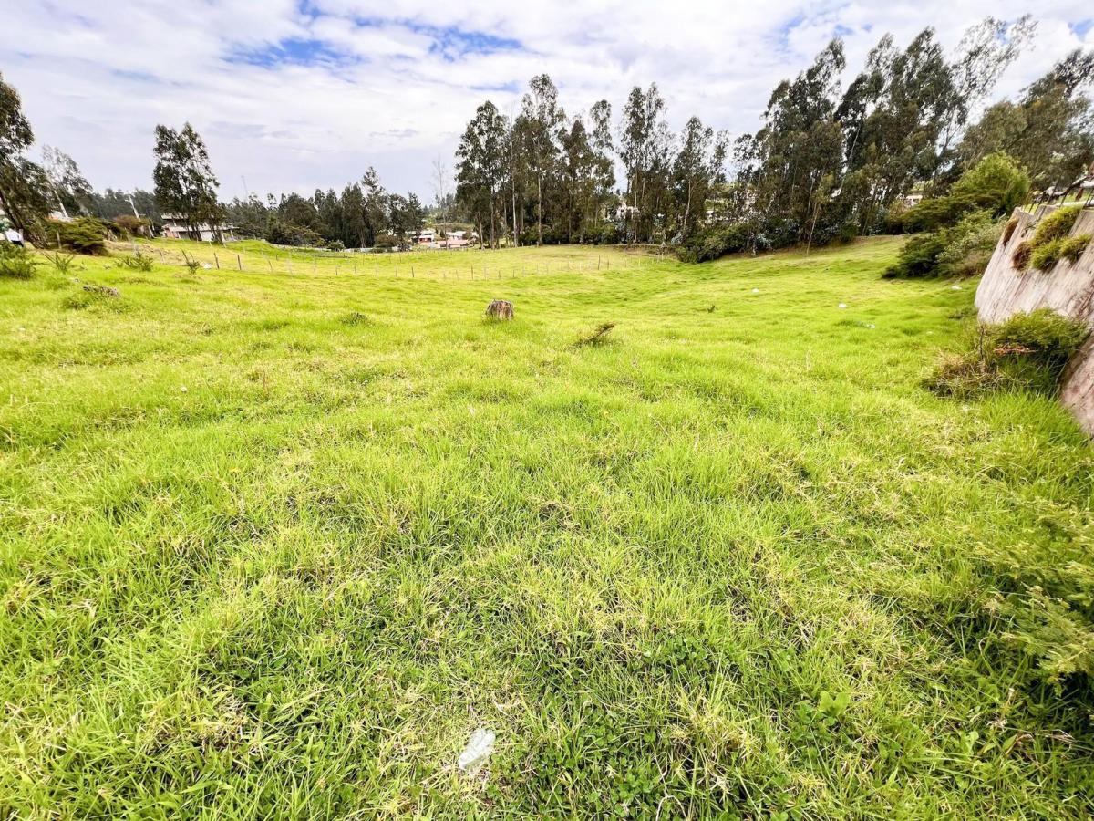 Venta de Terreno - Sector Pintag — imagen 8