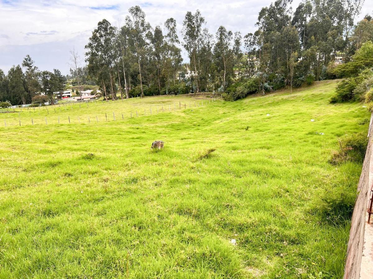 Venta de Terreno - Sector Pintag — imagen 7
