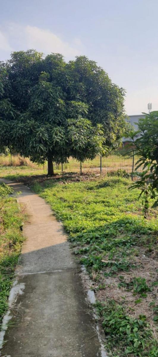 Terreno en Venta con 2600 m² en Samborondón, Guayas — imagen 9