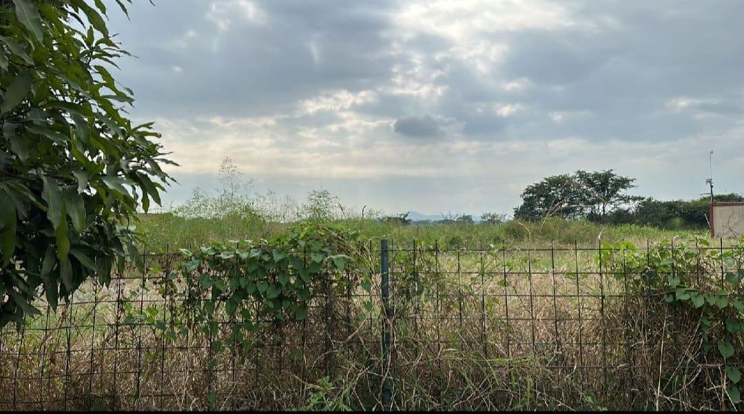 Terreno en Venta con 2600 m² en Samborondón, Guayas — imagen 8