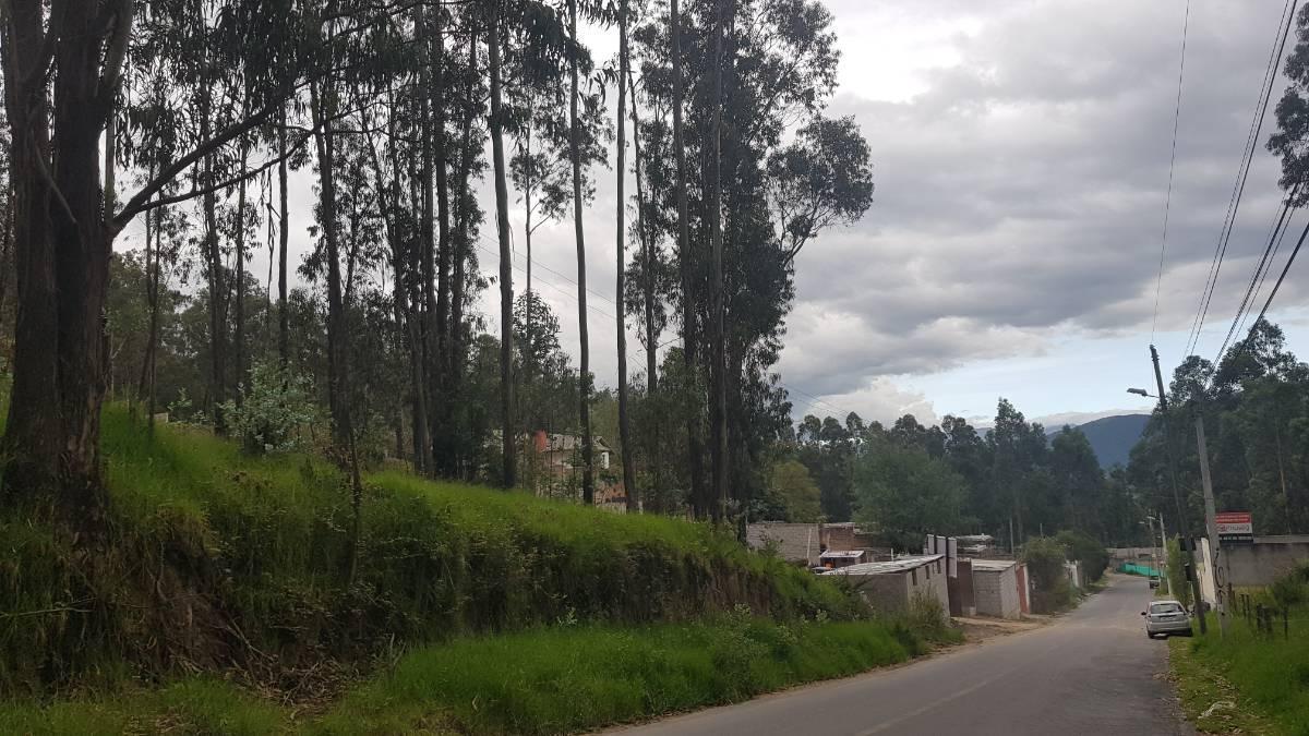 Vendo Terreno, Ideal Para Constructores, Sector Armenia — imagen 10