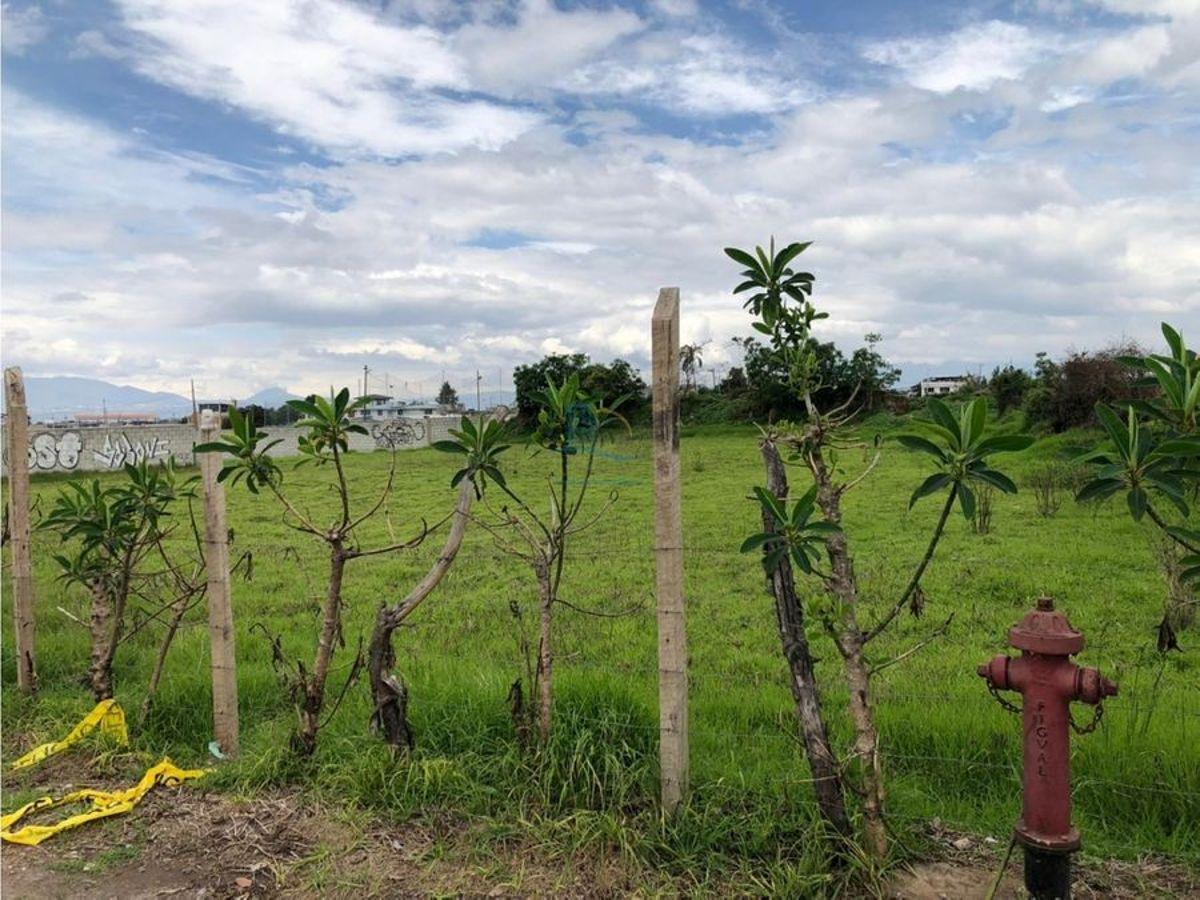 Terreno de Venta en Pifo — imagen 3