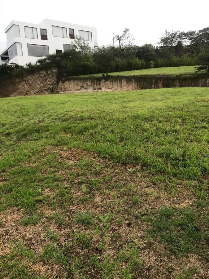Vendo Terreno Plano y Esquinero Dentro de Urbanizacion La Quinta — imagen 2