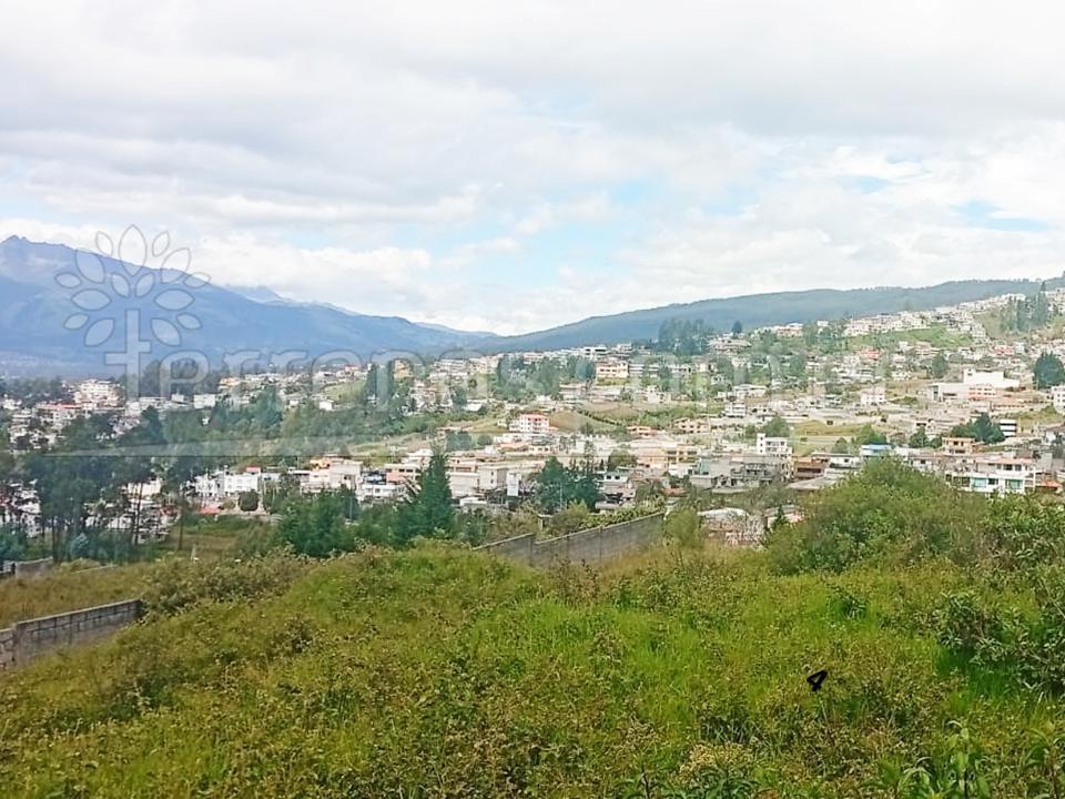 Terreno en Venta en Conocoto 3720 m², Sector Puente 4 — imagen 5