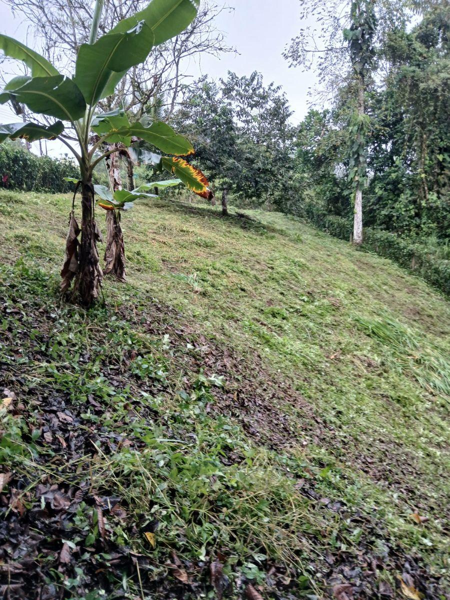 Vendo Terreno Esquinero 1190 m² Pedro Vivente Maldonado, Vista — imagen 9