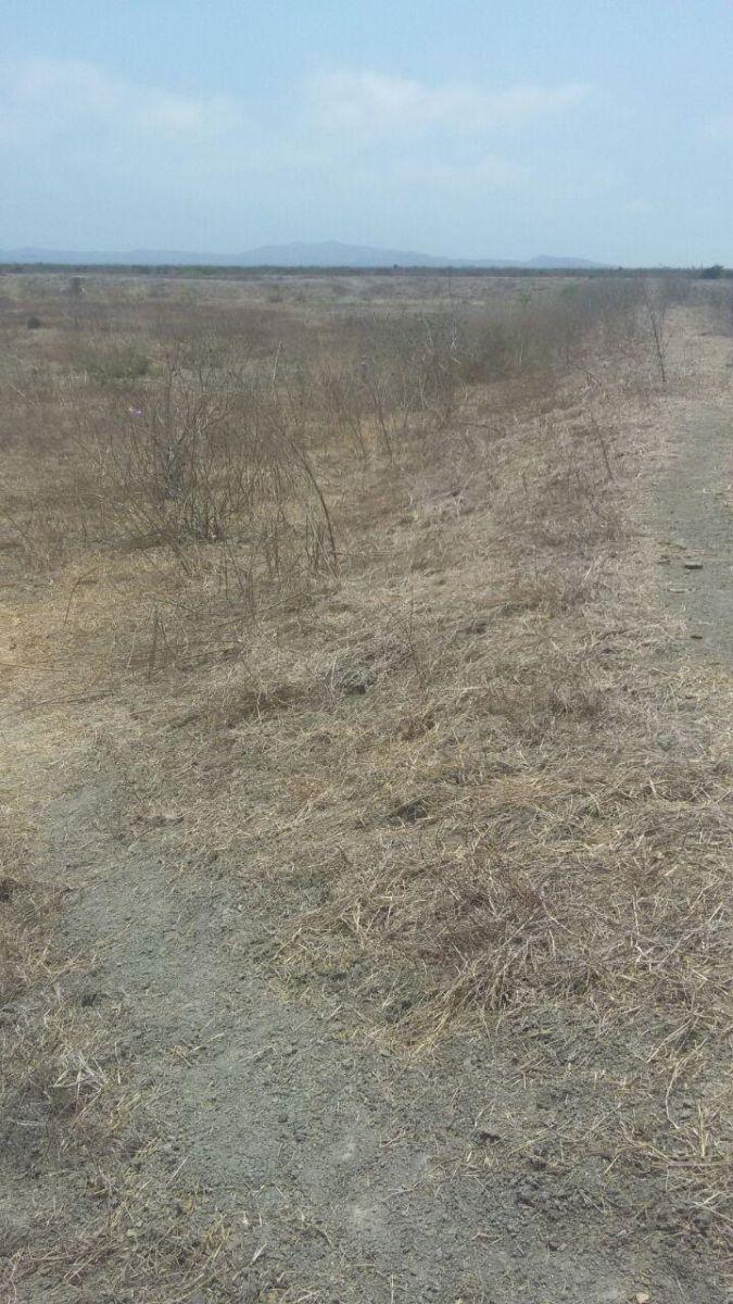 Terreno en Venta en Chanduy, Santa Elena — imagen 9