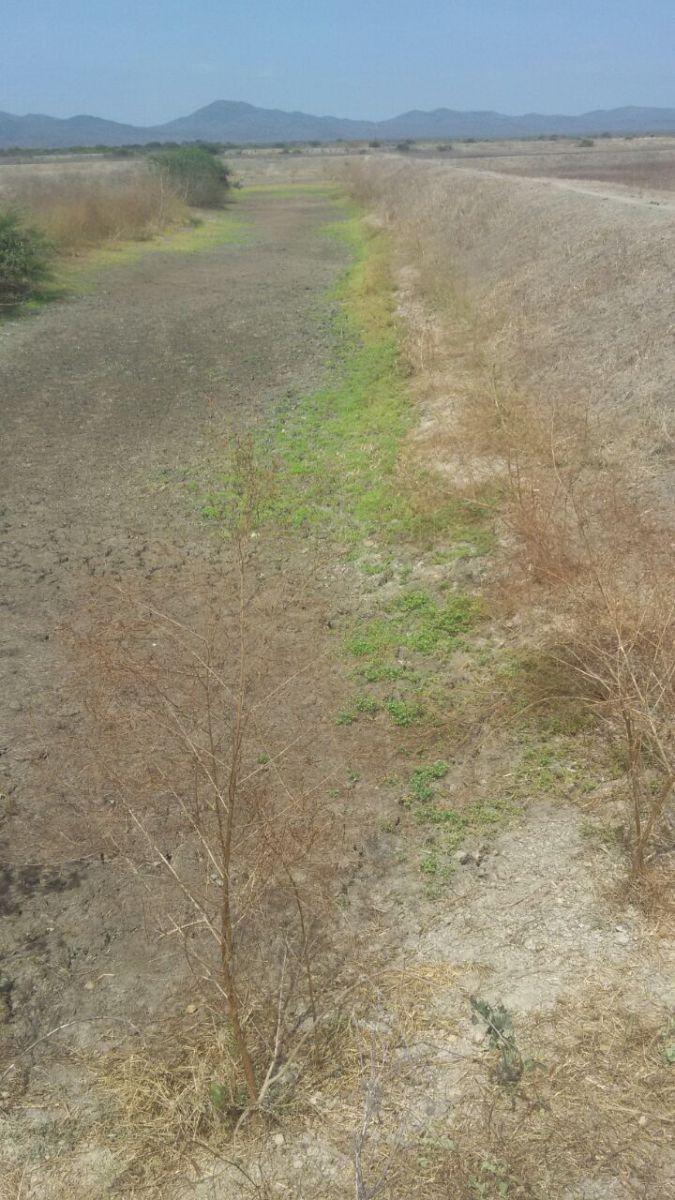 Terreno en Venta en Chanduy, Santa Elena — imagen 8